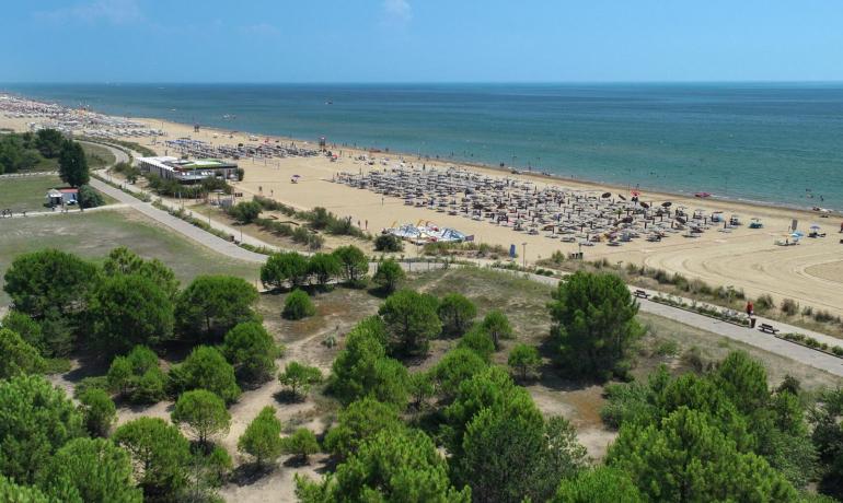 Golden beach, calm sea, umbrellas and green pines under a clear sky.