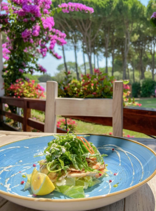 Piatto di insalata fresca con limone, vista giardino fiorito.