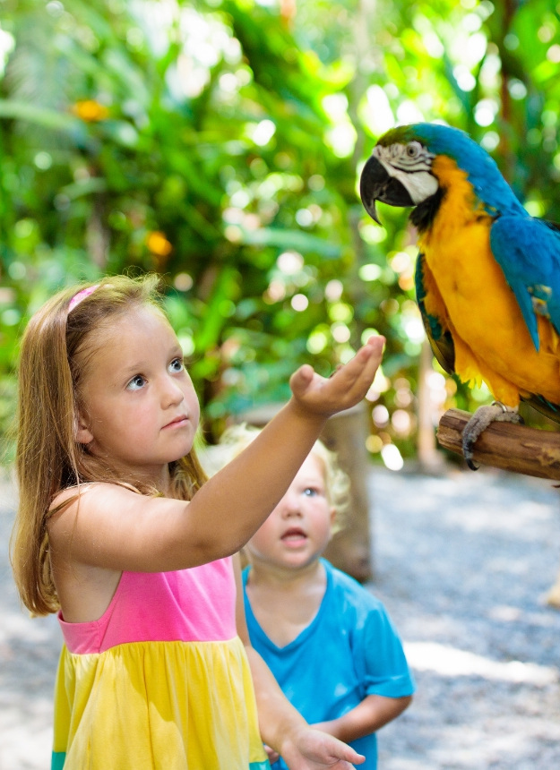 Girl interacts with a colorful parrot in a tropical garden.
